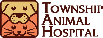 Township Animal Hospital